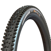 Forekaster 011923-02-29