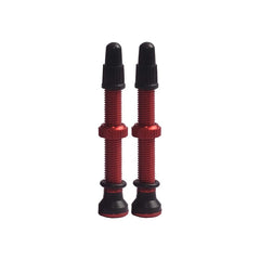 Tubeless Valves