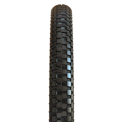 Holy Roller 010873-01-20