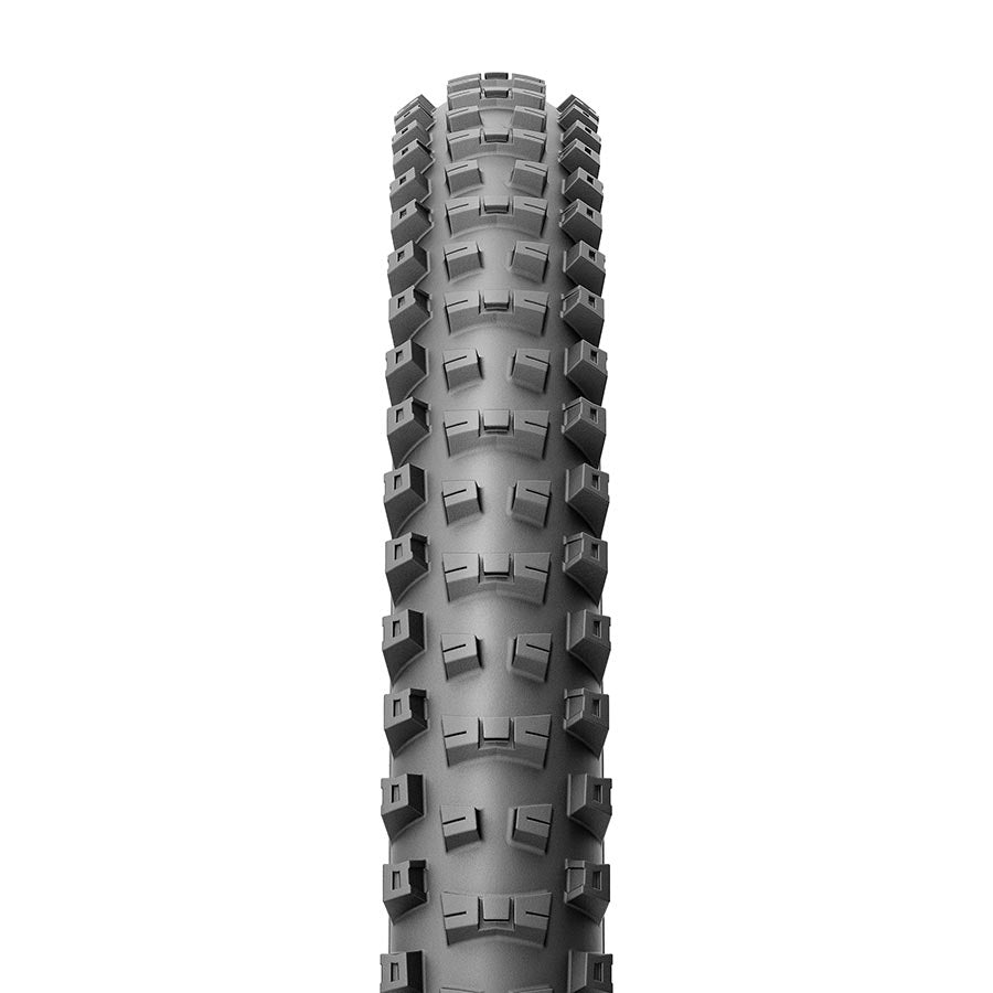 Scorpion Race DH T 011921-01-275