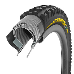 Scorpion Race DH T 011921-01-275