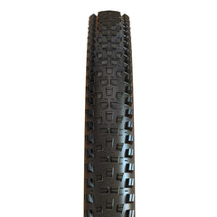 Forekaster 011923-02-29