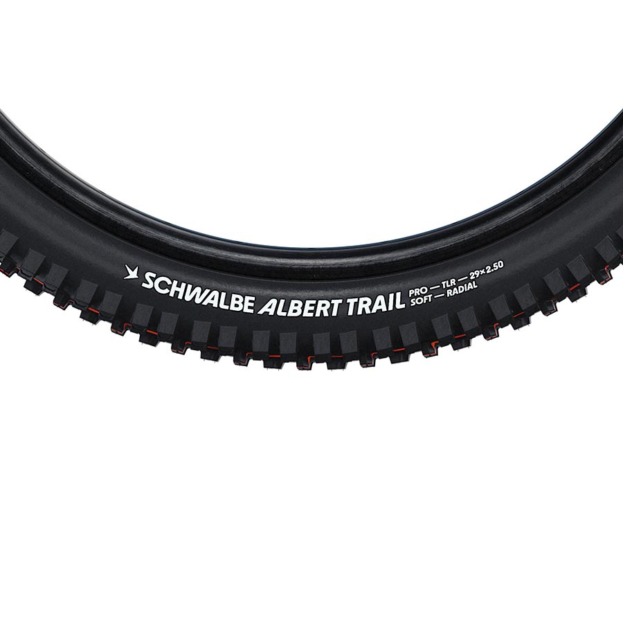 Albert Gravity Pro 012107-06-29