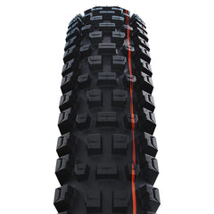 Albert Trail Pro 012108-03-275