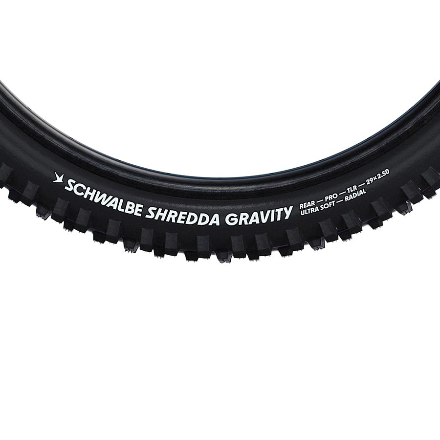 Shredda 012122-03-29
