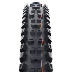 Tacky Chan Trail Pro 012201-02-29