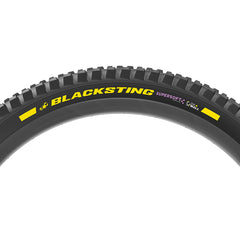 Scorpion BLACKSTING 012204-01-29