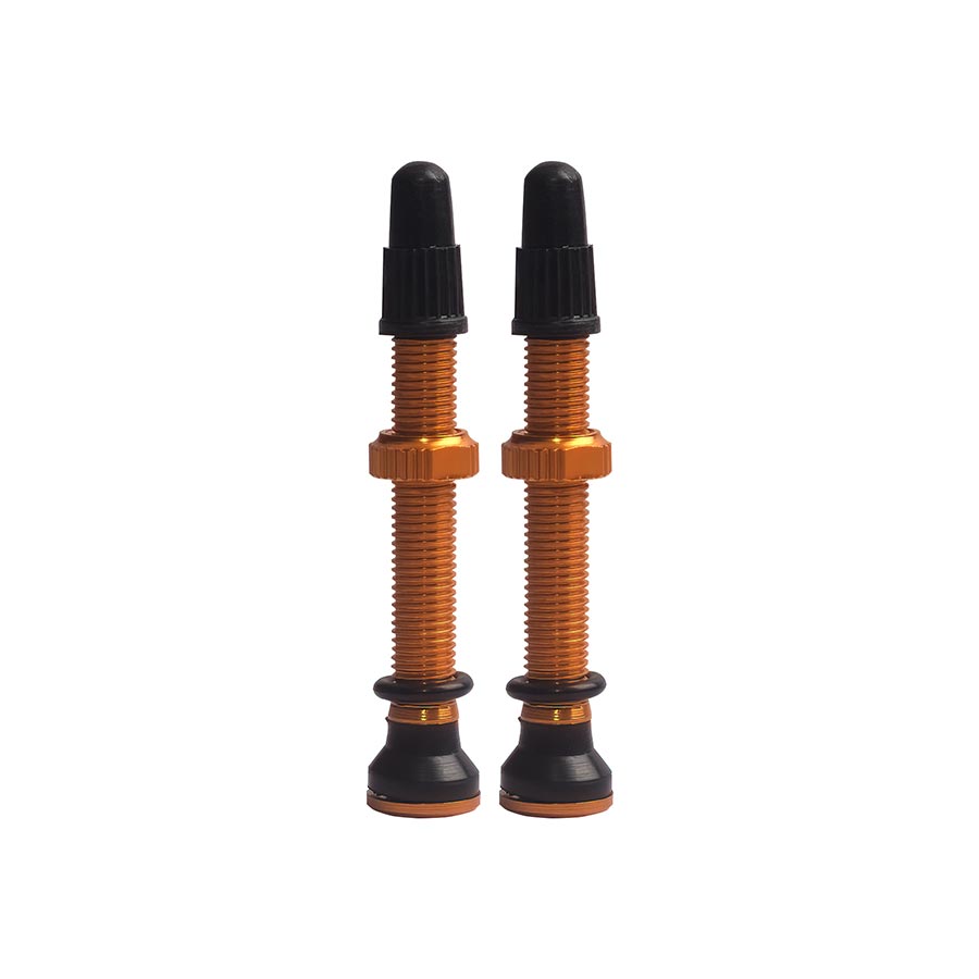 Tubeless Valves