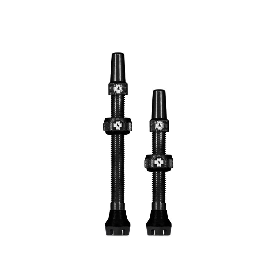 V2 tubeless valve Bosch 030306-01