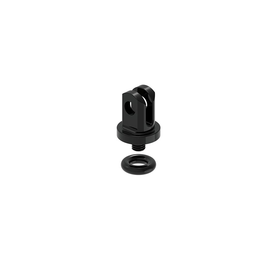 GoPro