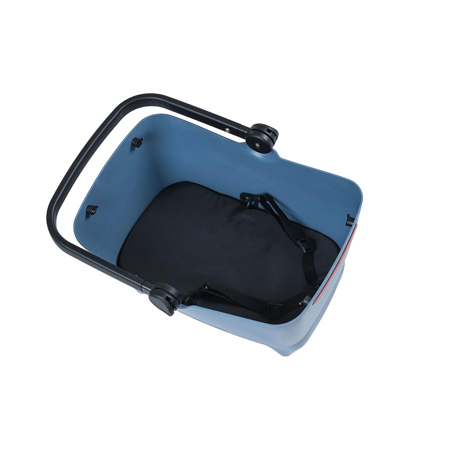 Buddy Dog 730520-01