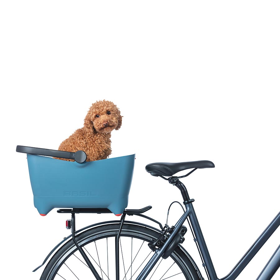 Buddy Dog 730520-01