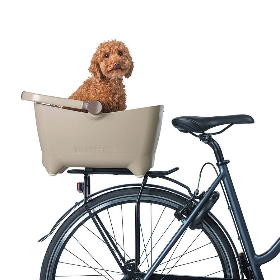 Buddy Dog MIK 730558-01