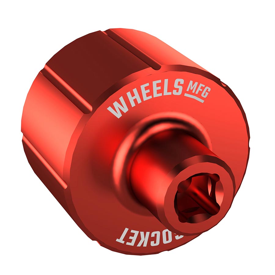 CL Socket 902809-01